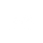 NiteRider